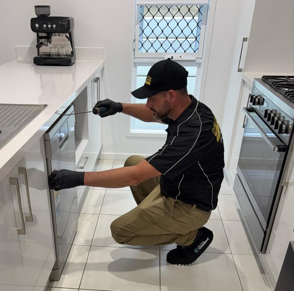 Brisbane Termite & Pest Control technician treating a kitchen