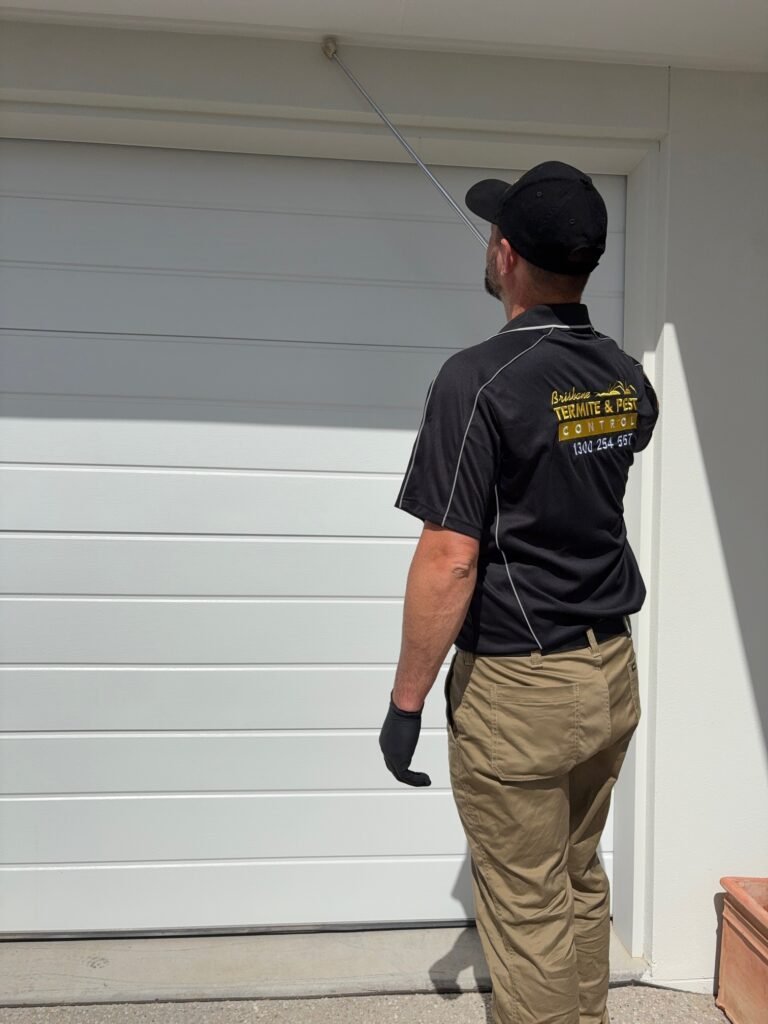 Technician inspecting external timbers for termites with a sounding tool